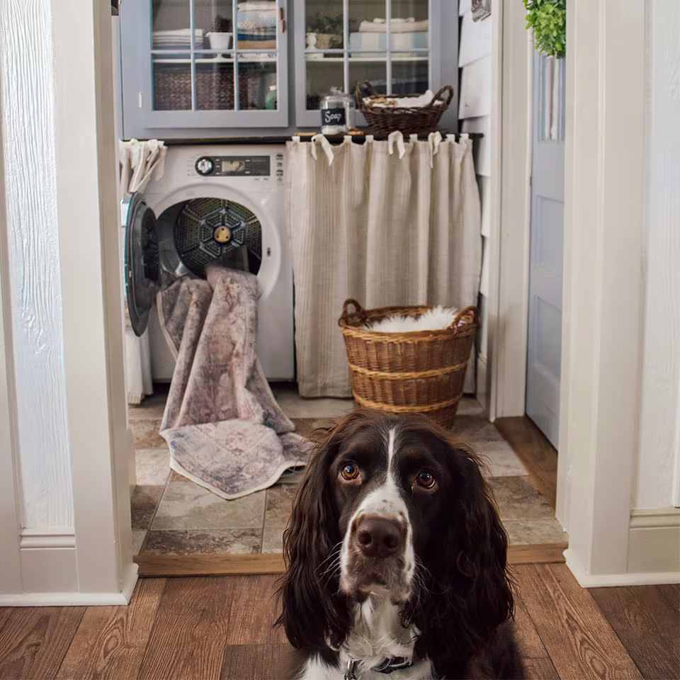 Ruggable Kamran Coral Rug