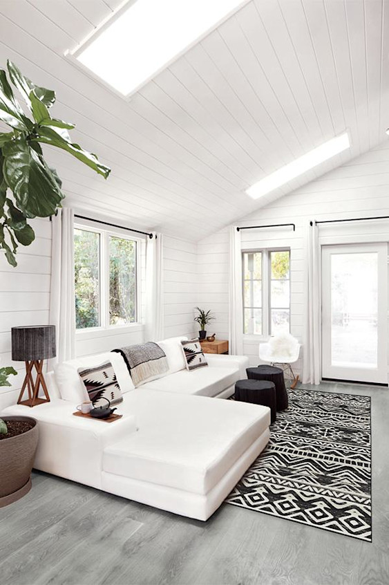 Best Rugs For Dogs Pet Friendly Rugs And Dog Rugs Pet Friendly Area