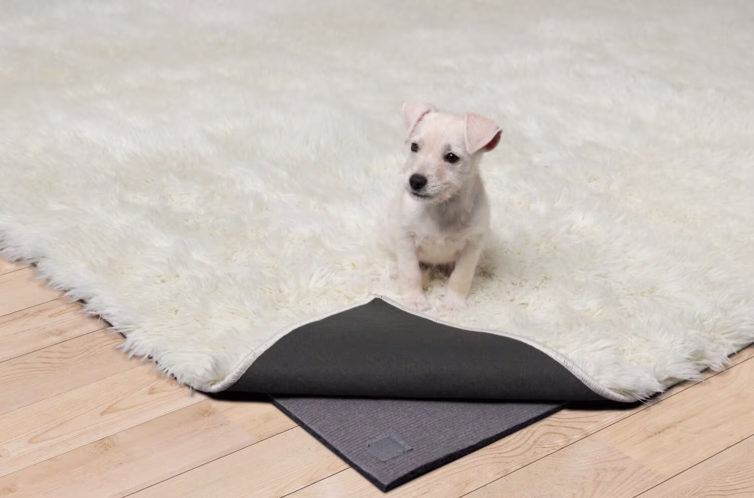 High Pile, Plush/ High pile Rugs with Dog 