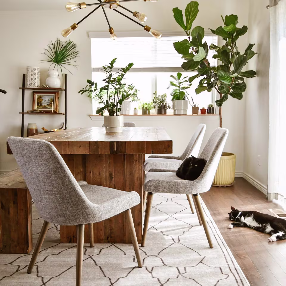 Ruggable Marrakesh Beige Ivory Rug in dining room