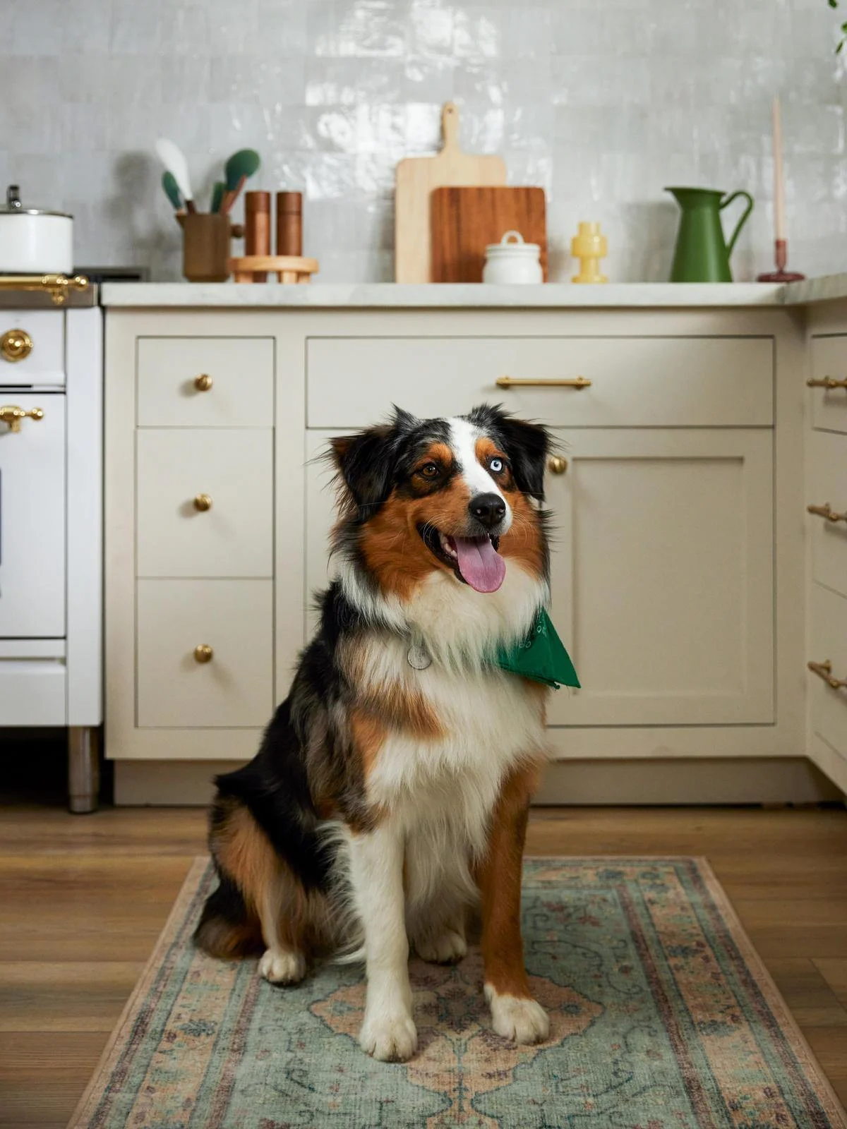 What Rugs Are Safe for Hardwood Floors Ruggable