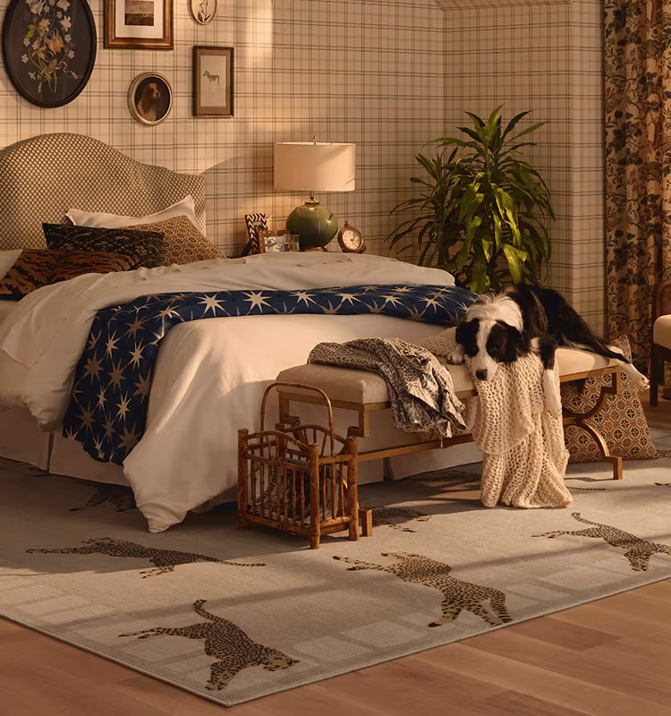 Ruggable Leaping Cheetah Sand Rug by Scalamandré