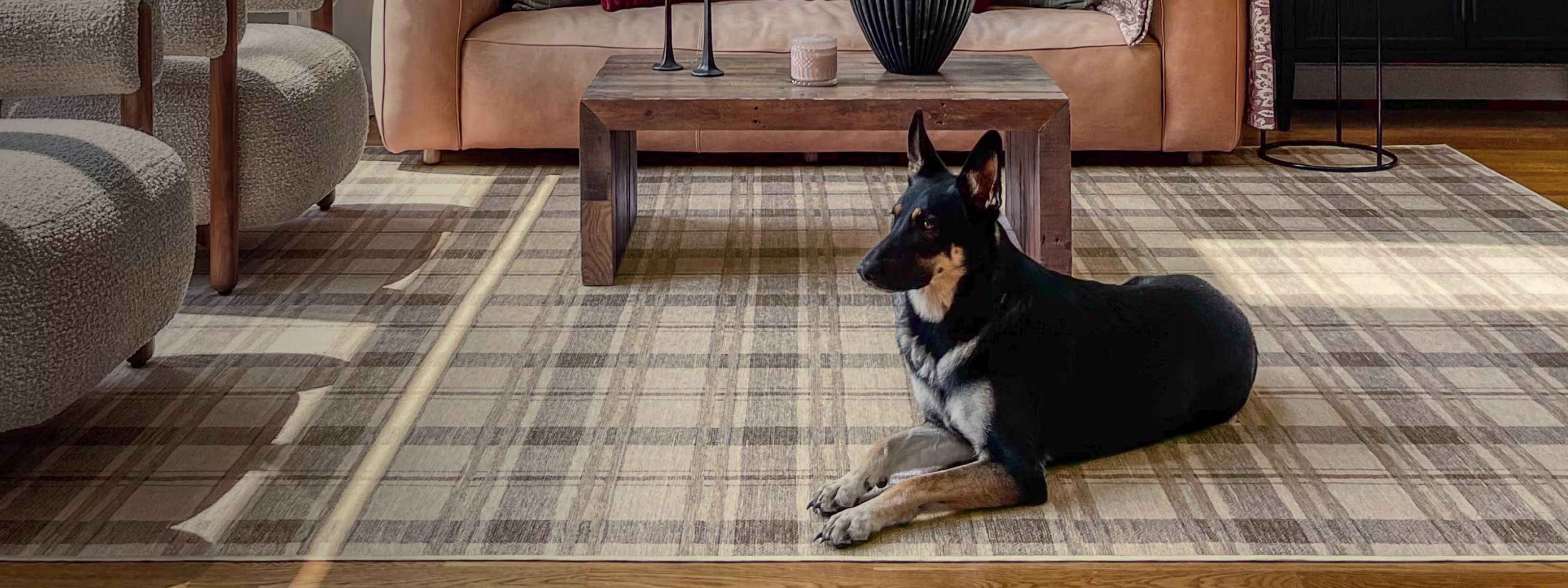 Dog Rugs LP Hero desktop