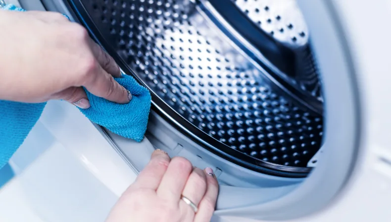 Clean the rubber door gasket of your front load washing machine