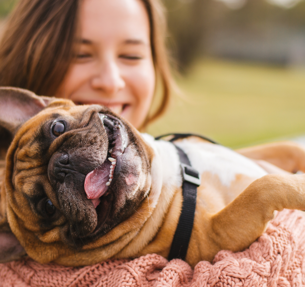 Getting rid outlet of pet odors