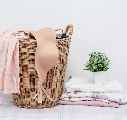 How to wash lingerie
