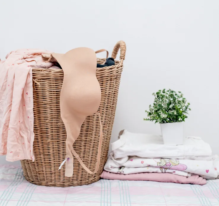 How To Wash Lingerie - Laundry Care Tips