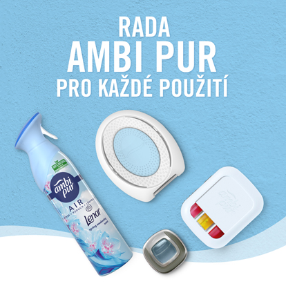 Rada Ambi Pur