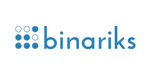 Binariks top fintech software development companies