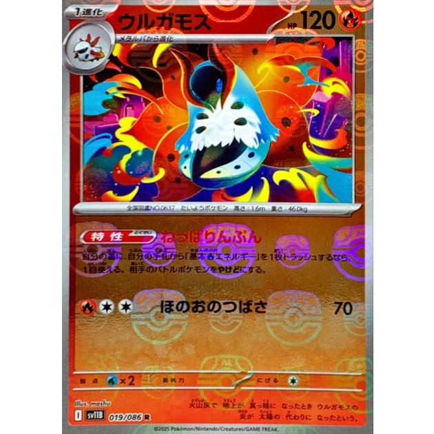 ã__ã__ã__ã__ã__ã__ï__ã__ã__ã__