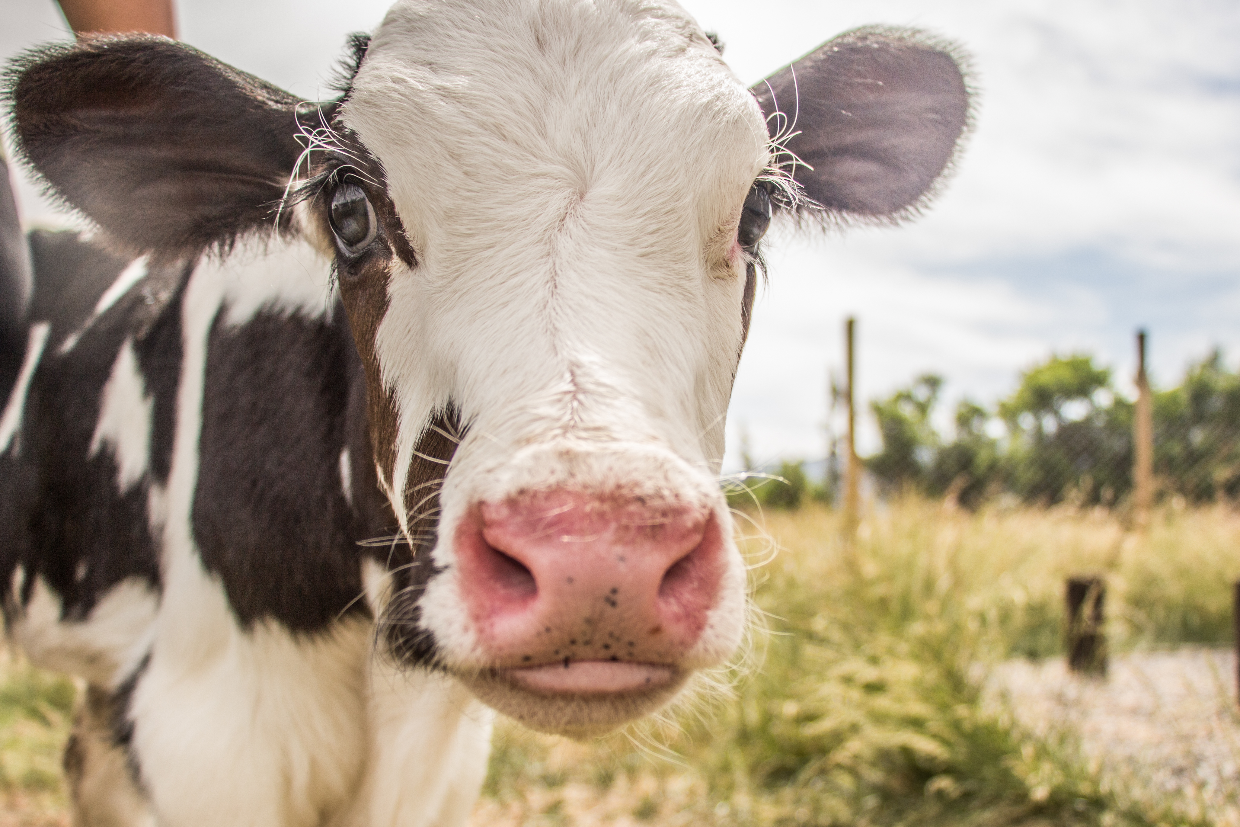 [Blog] Free nonprofit cybersecurity consultation and support services