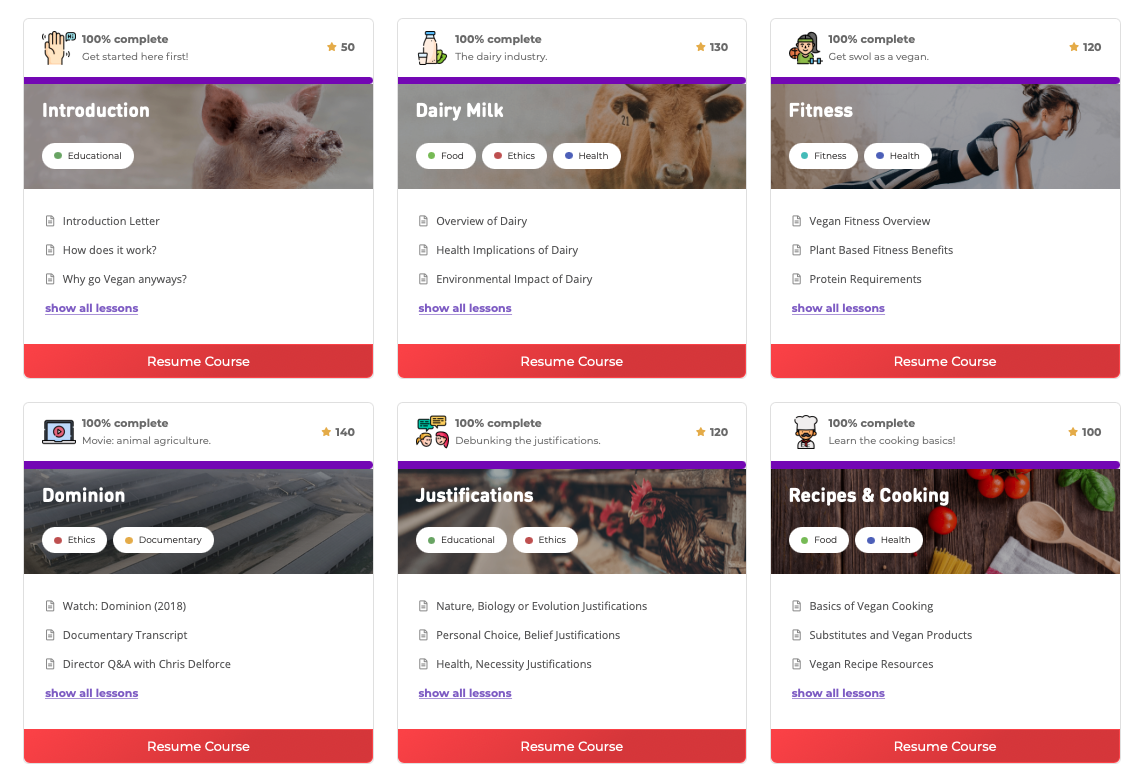 [Blog post] Vegan Bootcamp screenshot