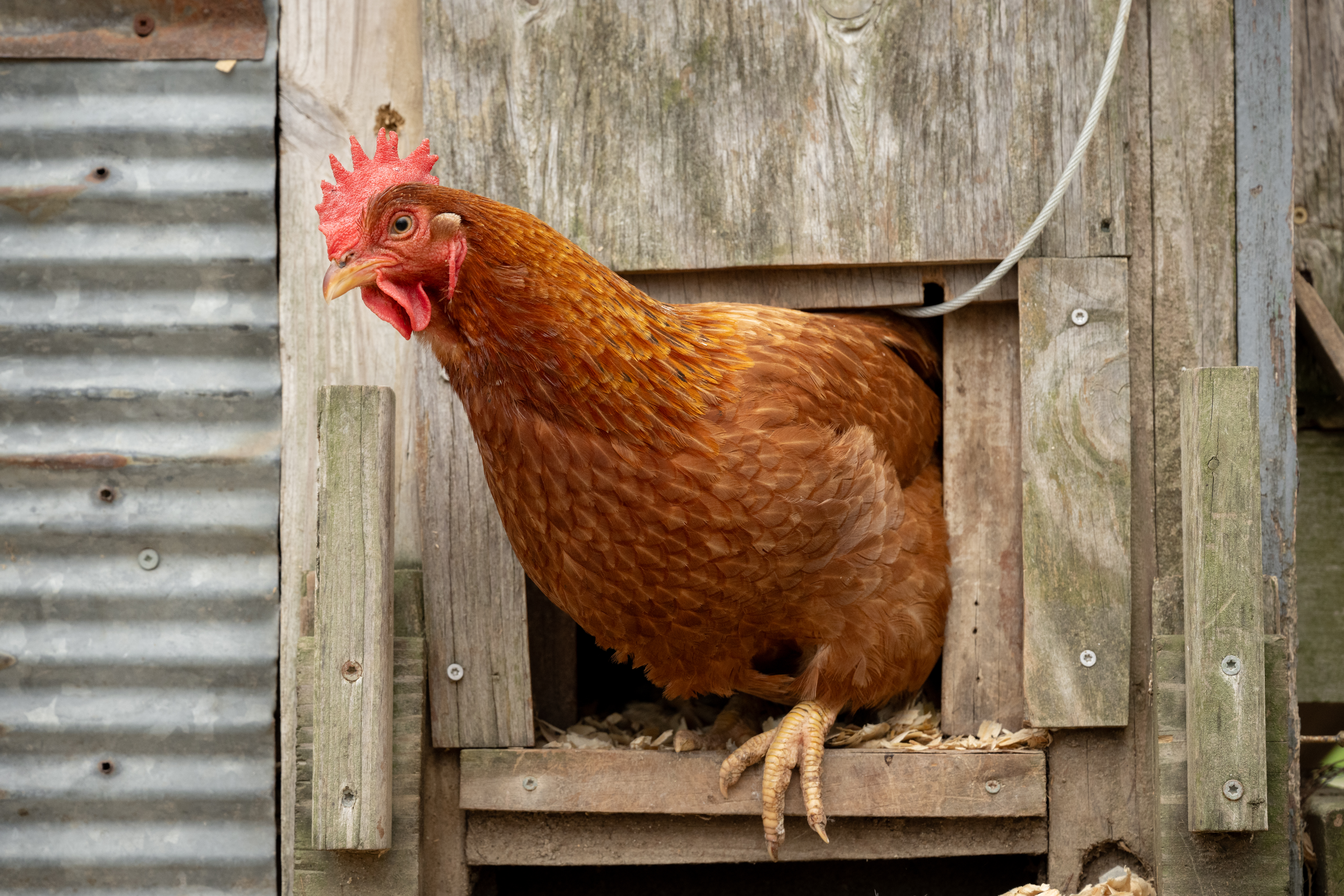 [Blog] Nonprofit website security monitoring - protecting organizational data