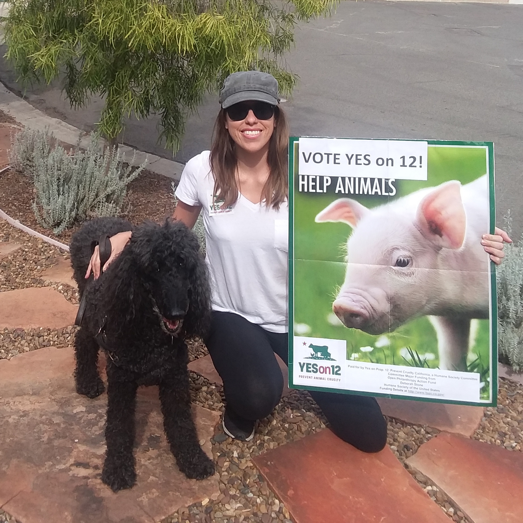 [Blog post] Brooke campaigning for Prop 12