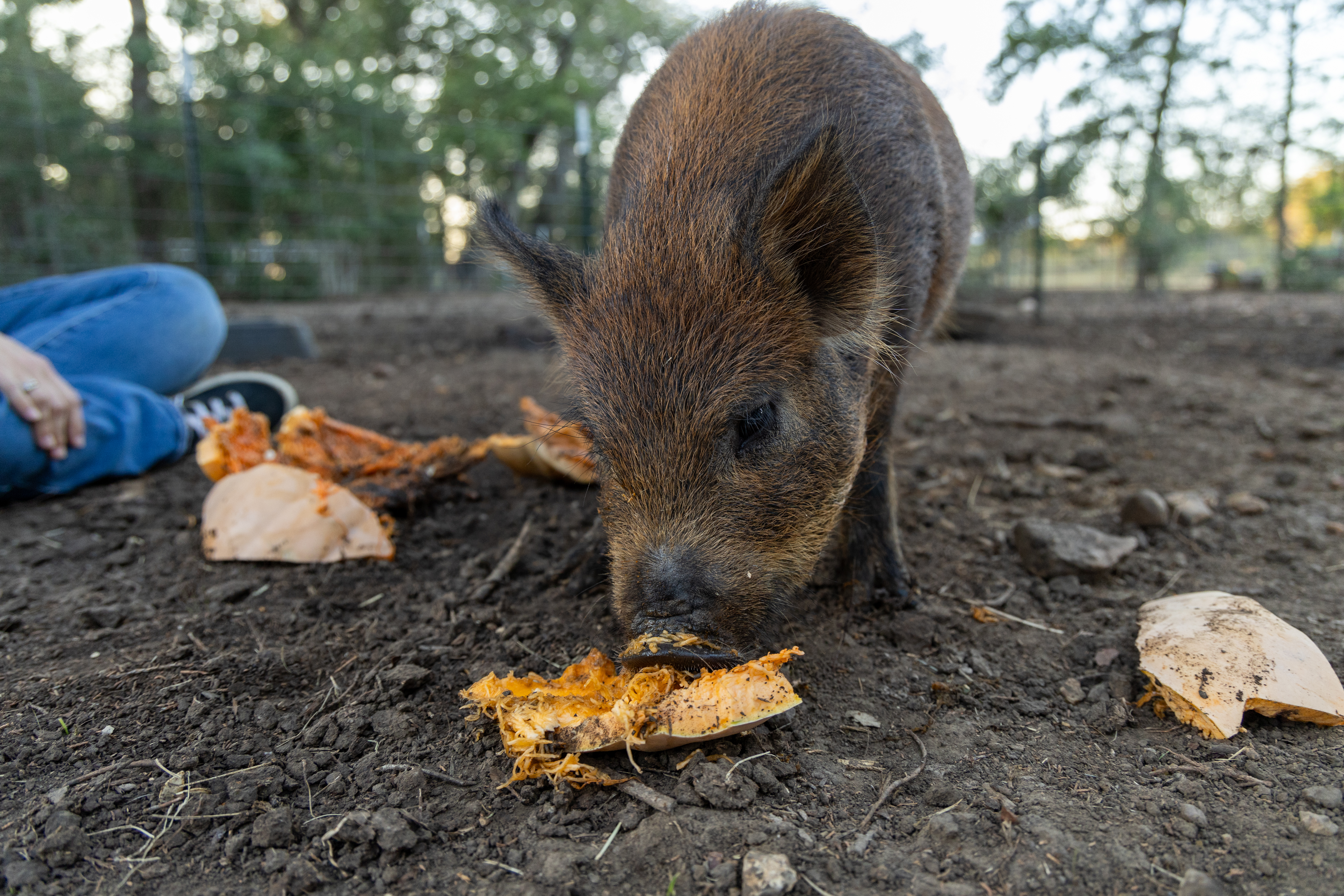 [Blog] Starting nonprofit cybersecurity practices - incremental security improvements