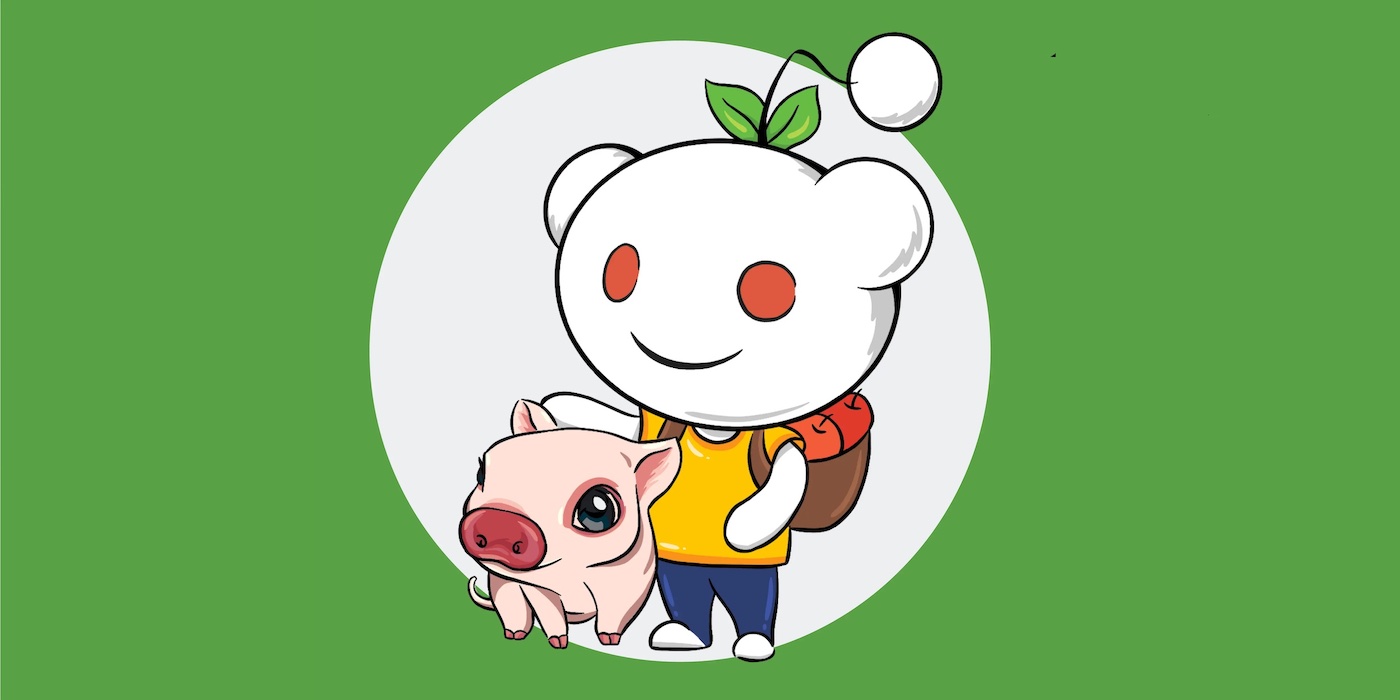 Animal Support Bot project --01 copy 2