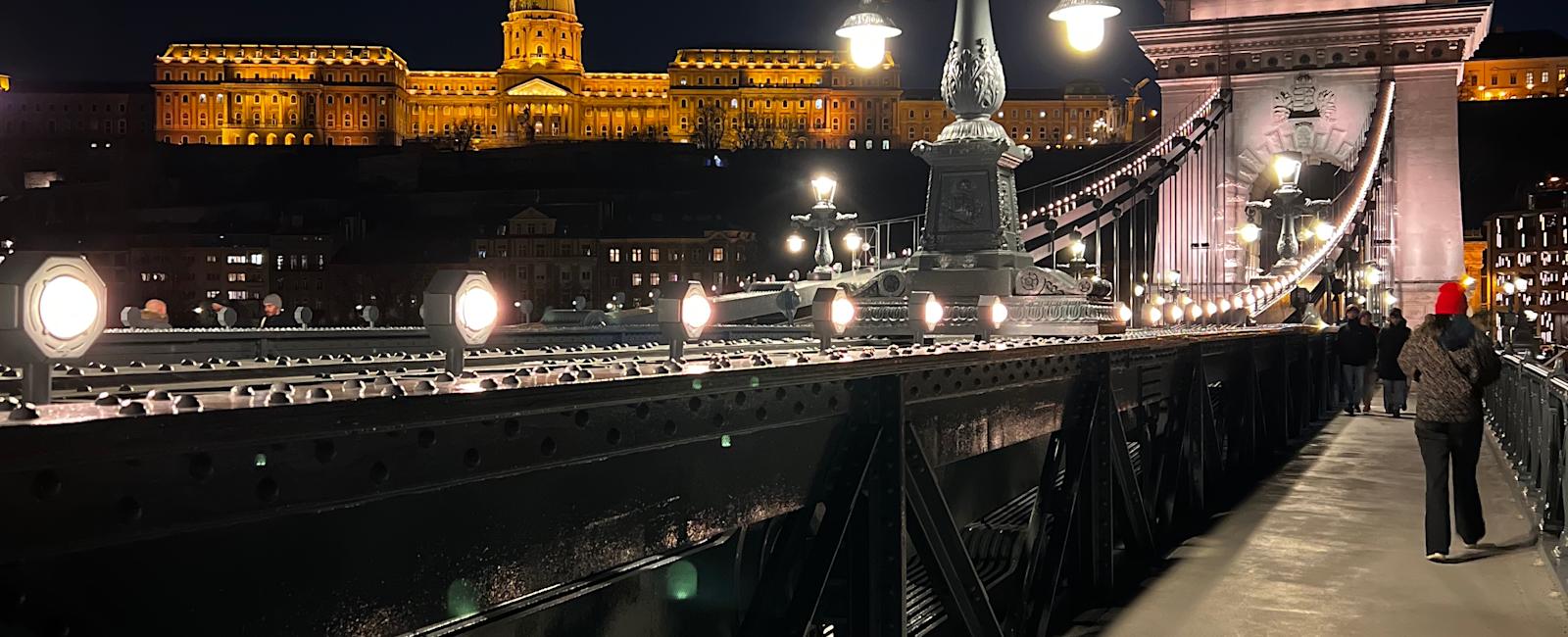 My Date with the Question: What Is My Purpose?