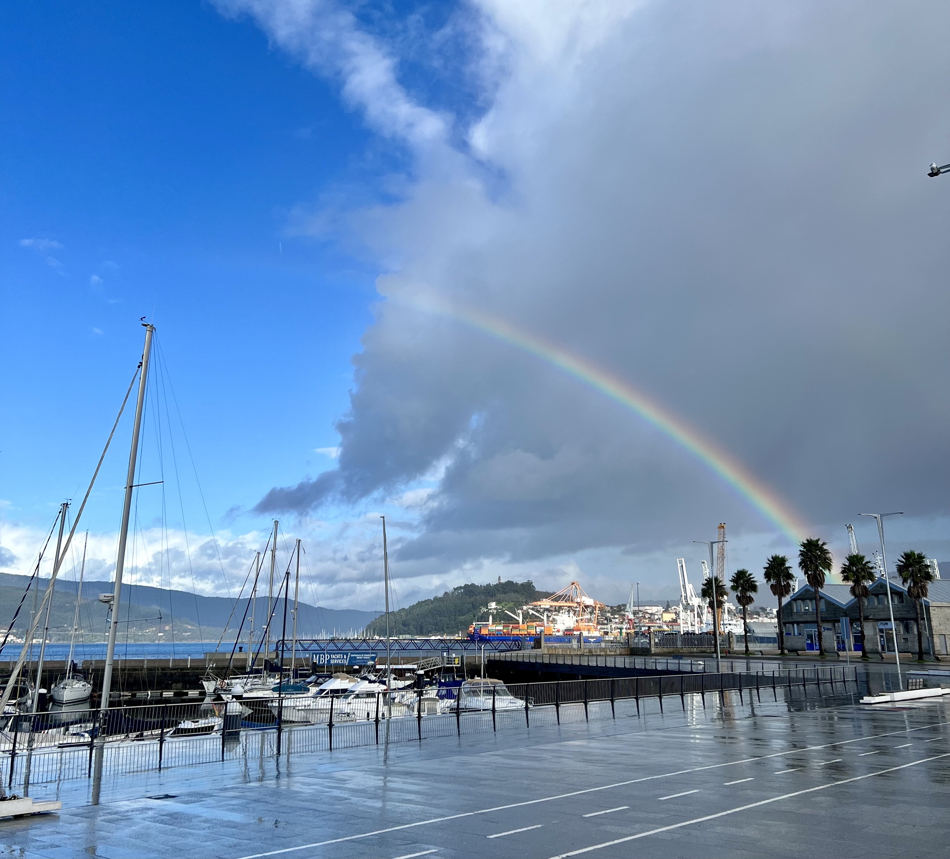 New Lifelong Commitment 