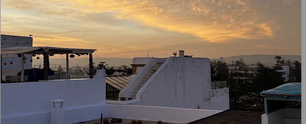 Embracing Resilience: My Battle to Save My Business in 2024