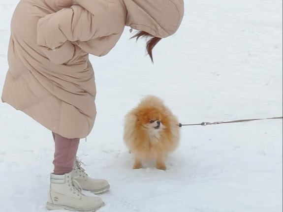 Grow Them, Don't Steal Them