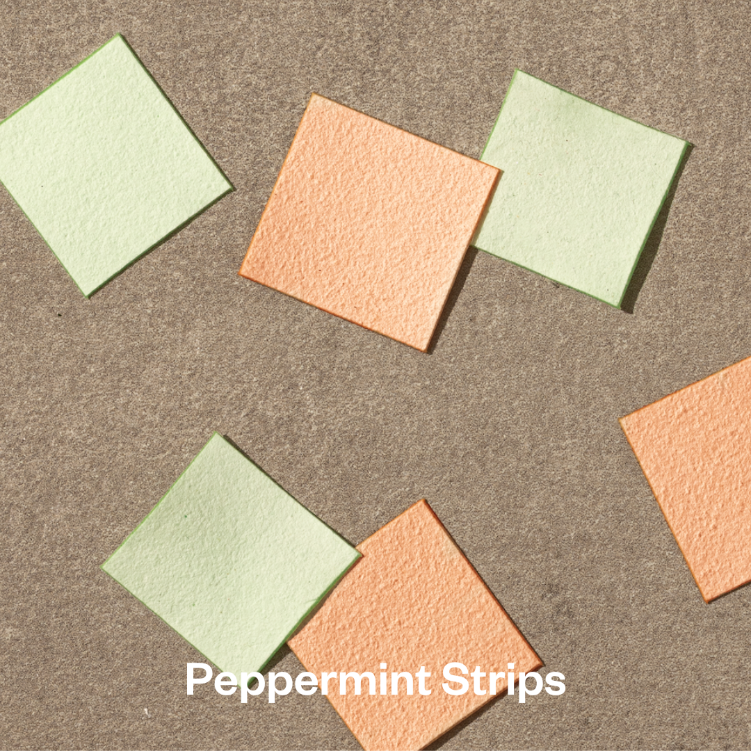 Peppermint Strip NEW