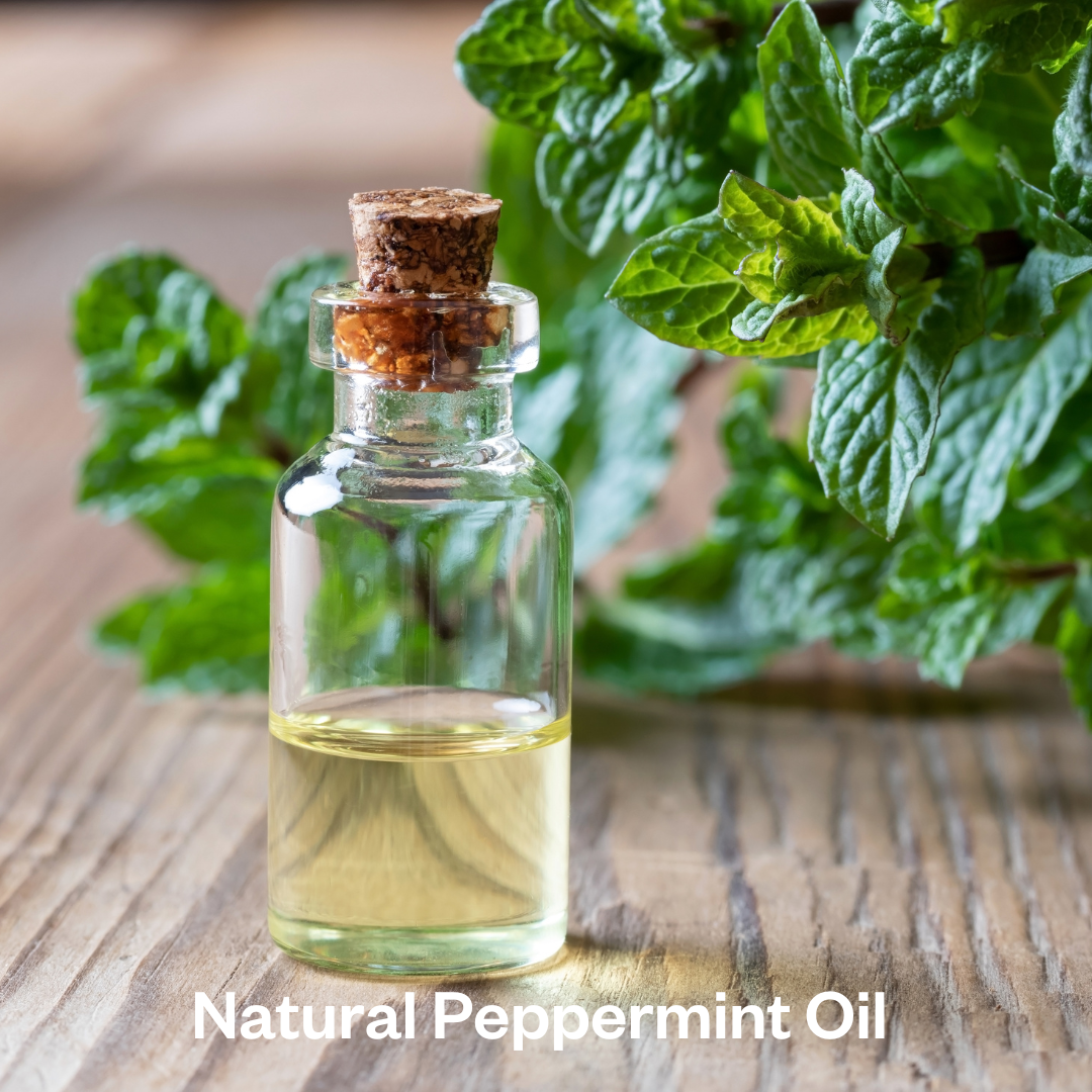 Natural Peppermint Oil NEW