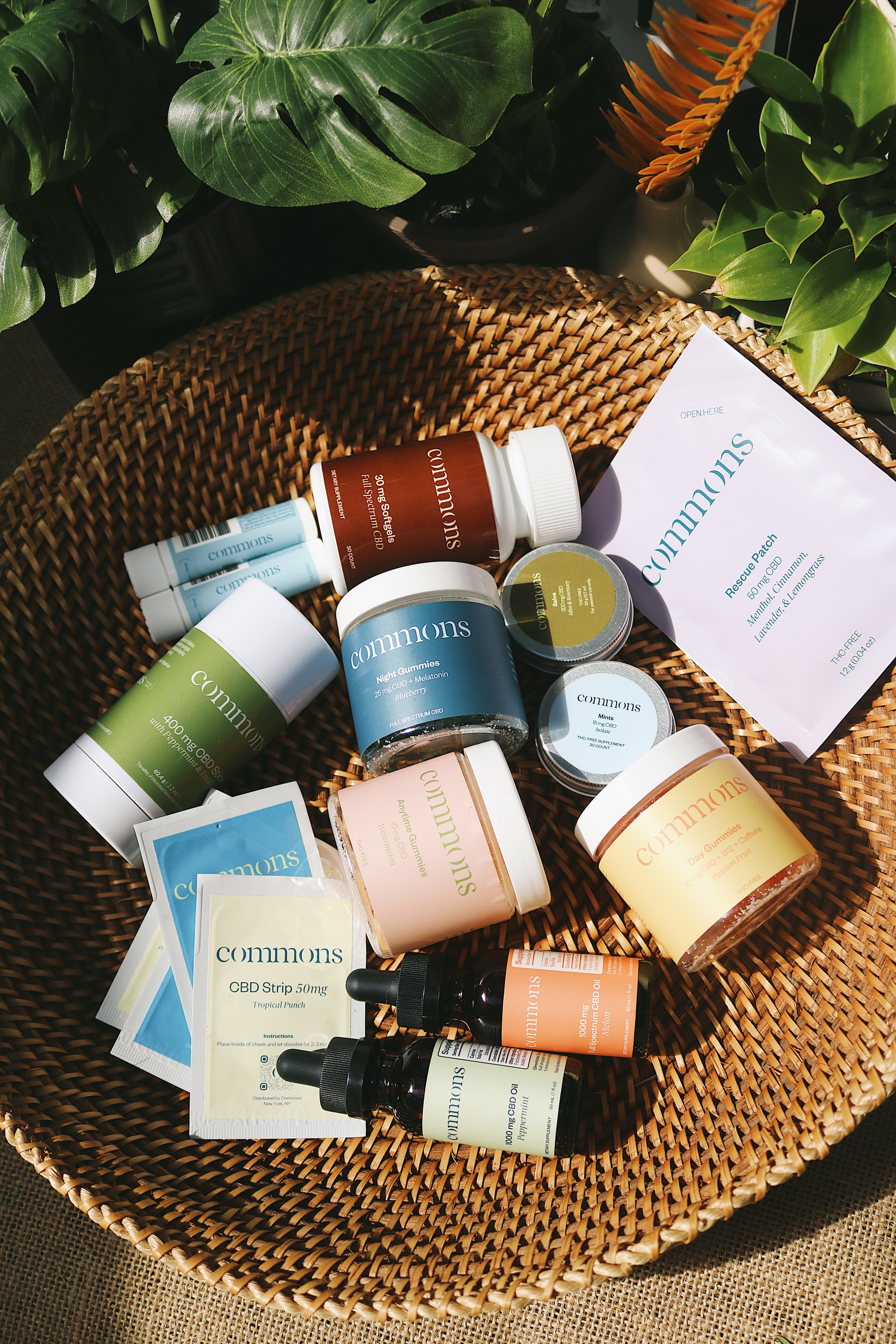 Photo Sep 14, 6 10 41 AM