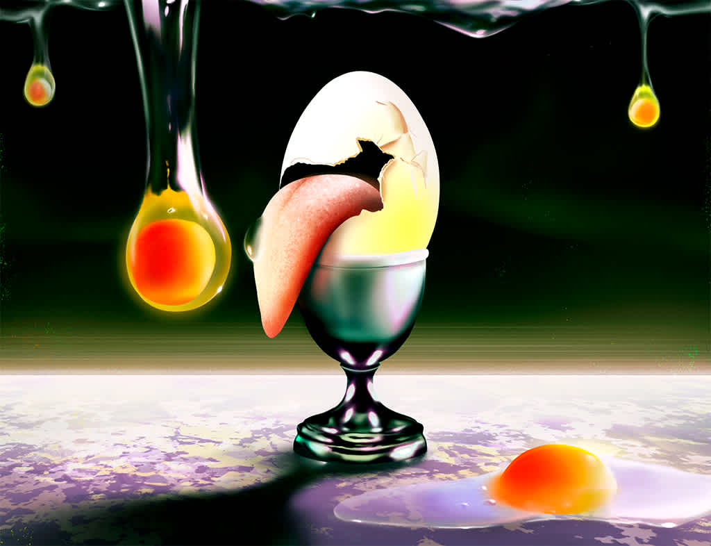 The Tongue and the Egg