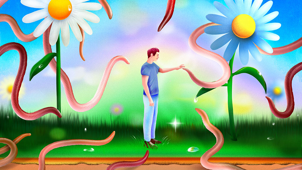 Why are worms everywhere right now?