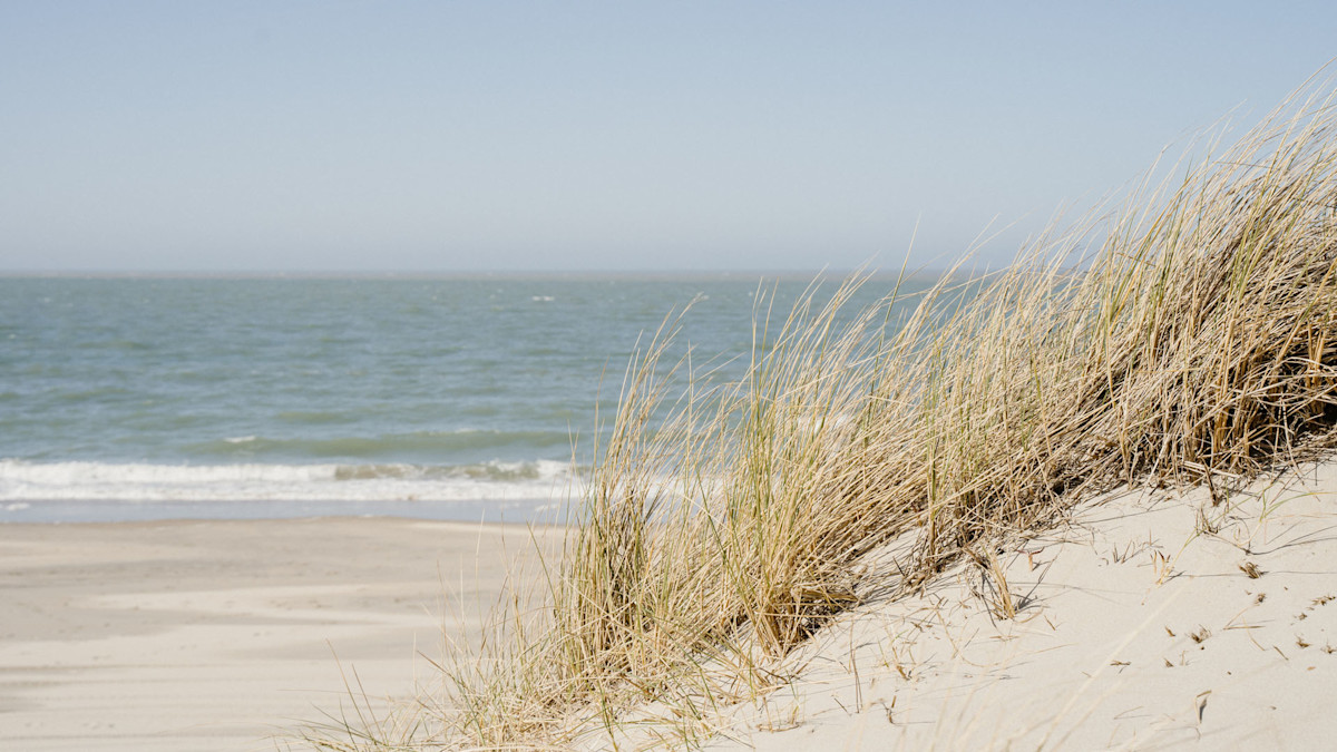 Schöne und saubere Strände auf Goeree-Overflakkee | allyourz