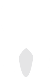 muelita