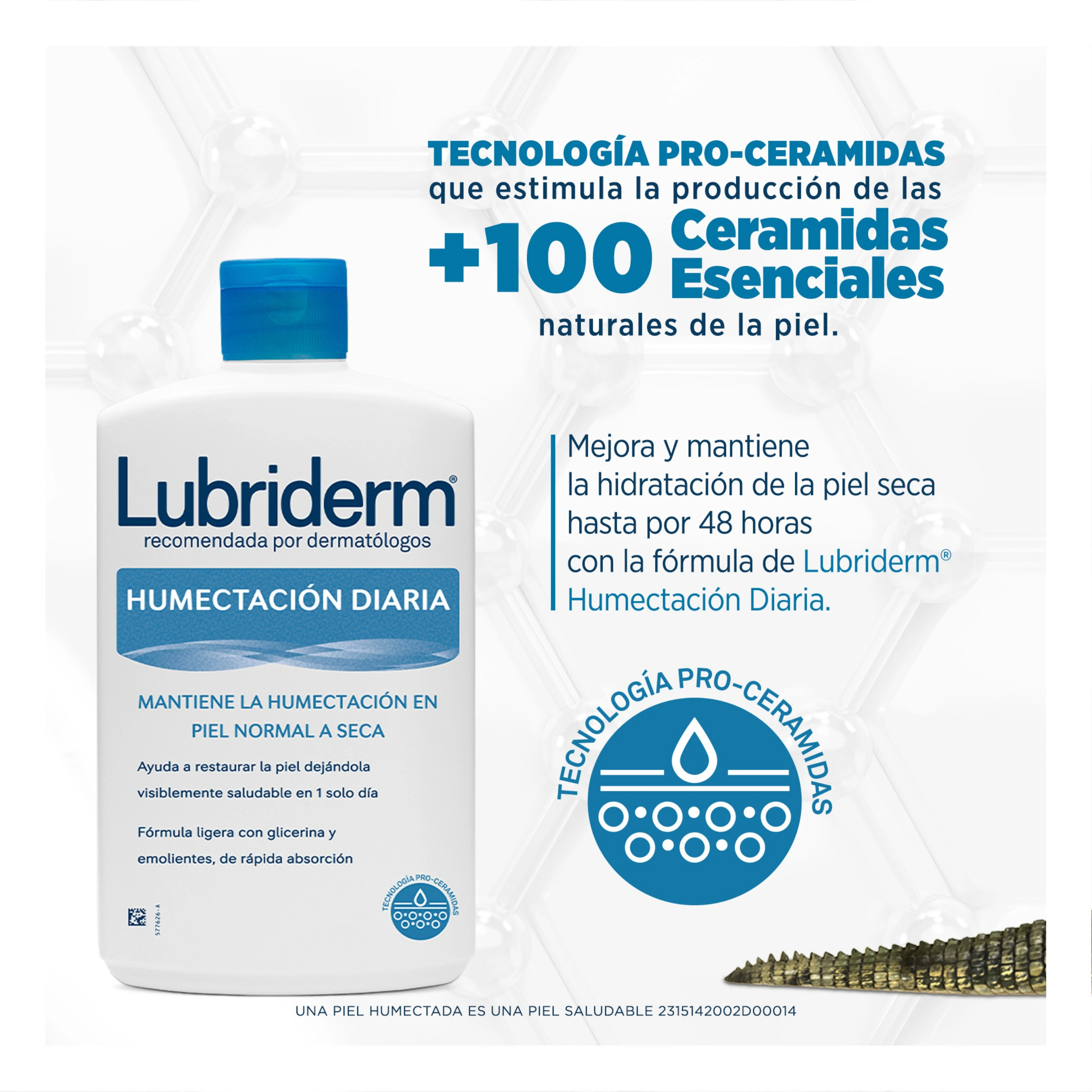 Características del producto humectación diaria
