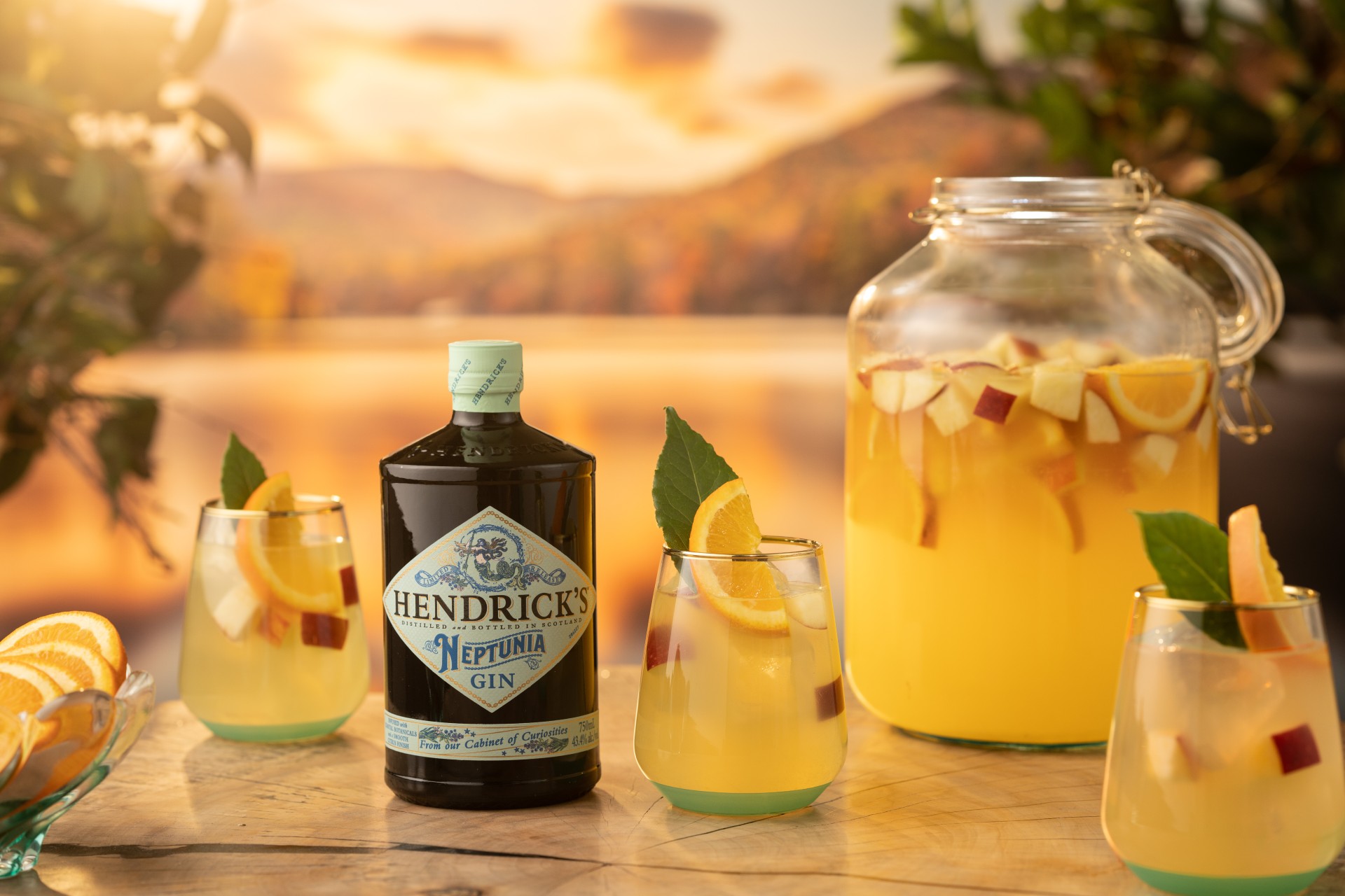 Neptunia Hendrick's Gin Bayside Sparkling Sangria