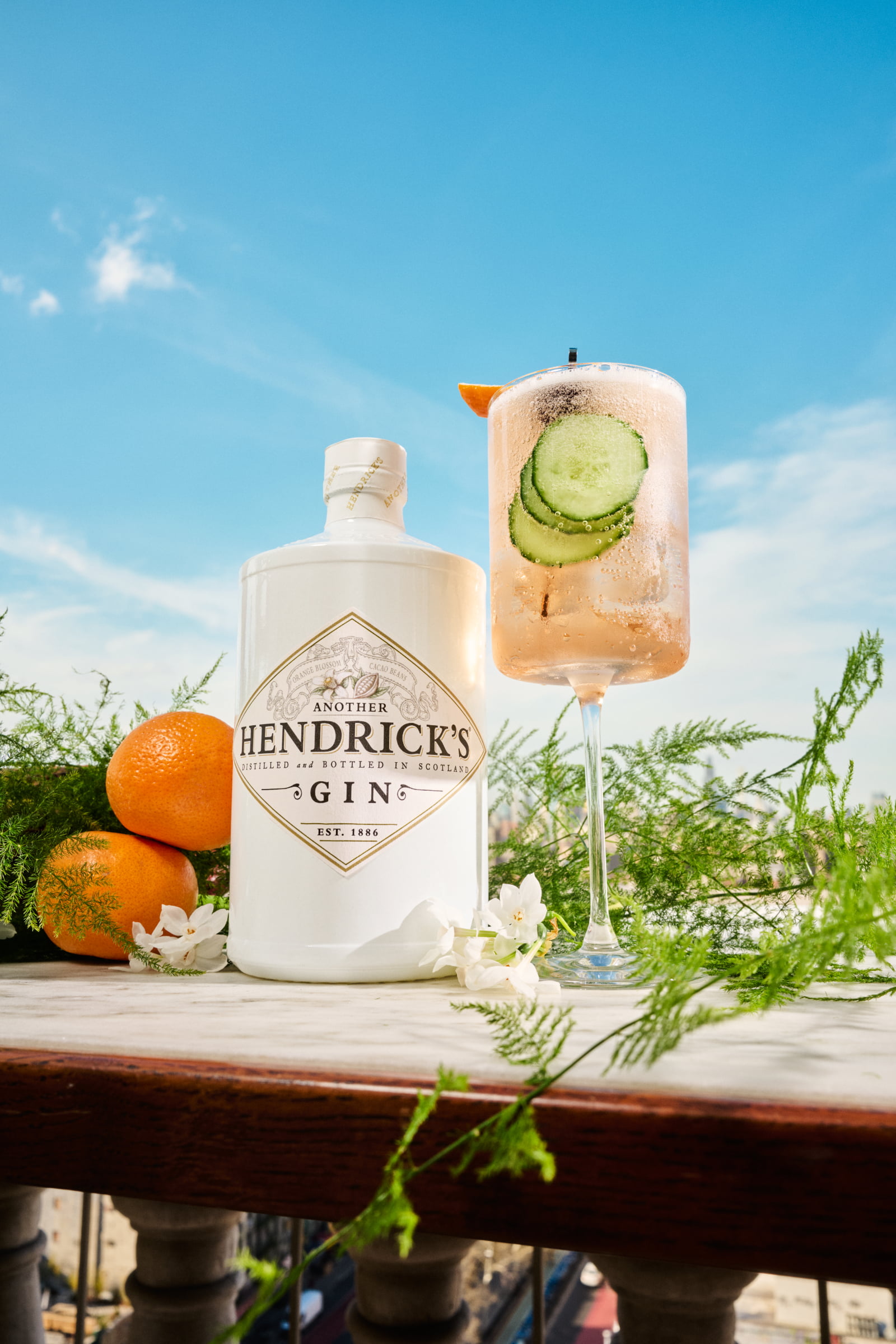 Another Hendrick's Spritz | Gin Cocktails
