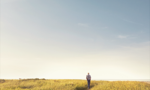 Keywords: forward-thinking, client-centric, truly independent, flexible,
control, infrastructure, fiduciary