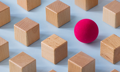 Insights CyberSec 13