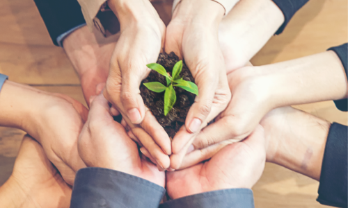 Multiple hands holding a young plant in dirt to show support to the plant. 