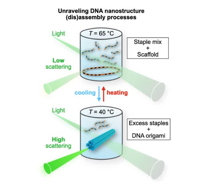 The setup for monitoring DNA origami formation