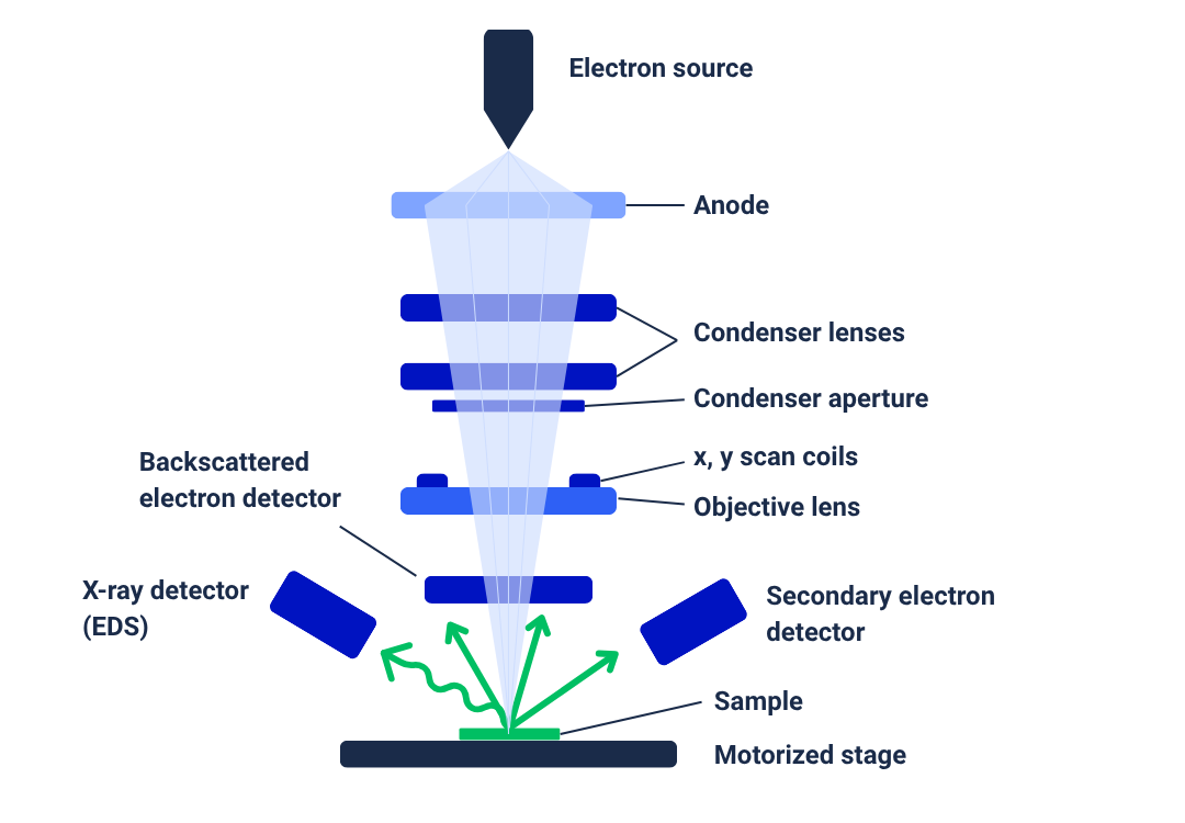 Working principle of SEM
