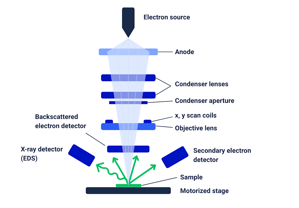 Working principle of SEM