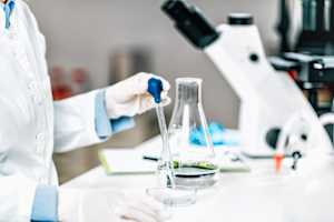 Top laboratories for PFAS analysis: comparison of capabilities