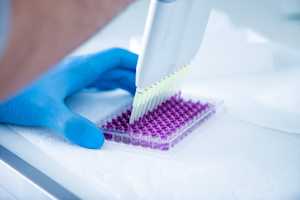 Cytotoxicity testing under ISO 10993-5: a practical guide for medical device manufacturers