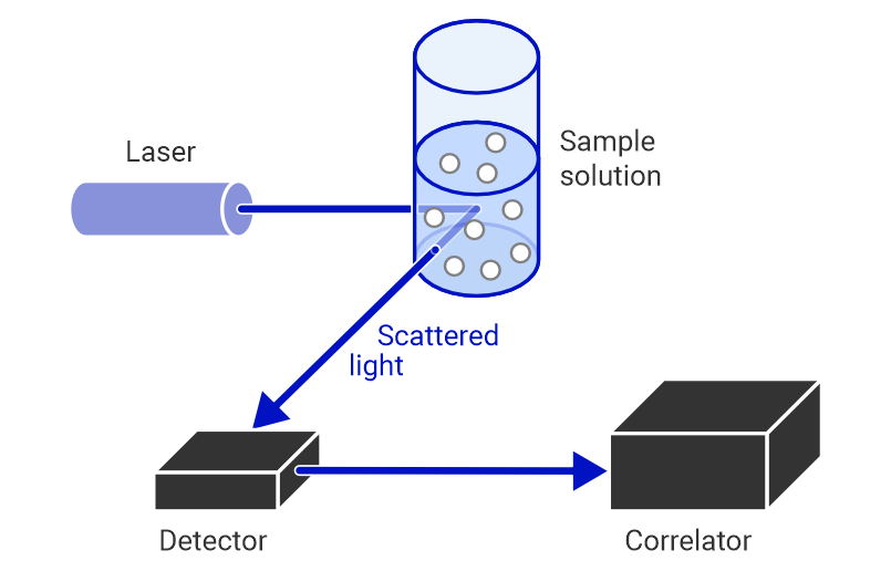 DLS diagram