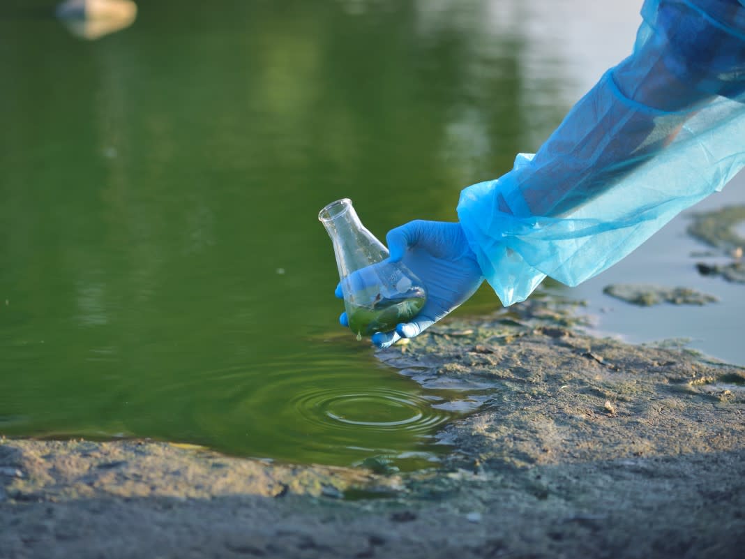 LC-MS/MS Analysis | Laboratory Testing Services | Measurlabs
