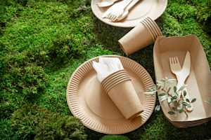 Biodegradability and compostability testing by national and international standards