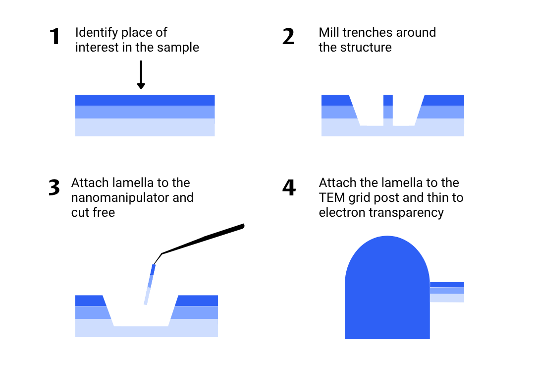 FIB lamella preparation process