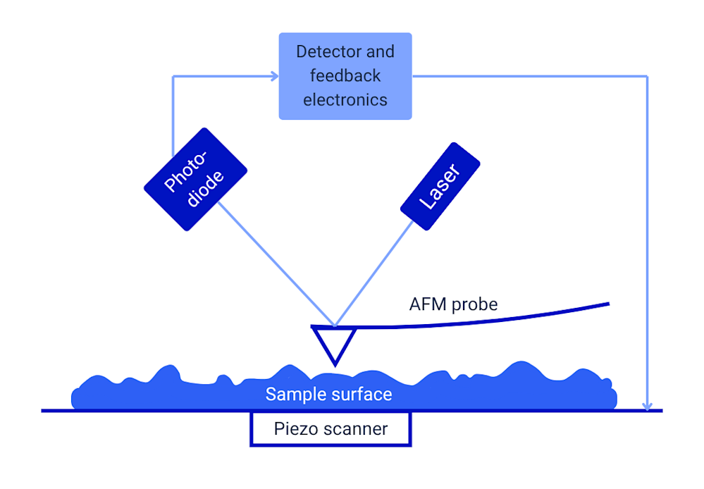 AFM working principle