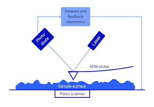 Afm Types Atomic Force Microscopy | AFM Analysis Laboratory | Measurlabs