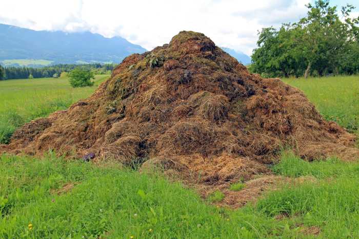 Manure analysis