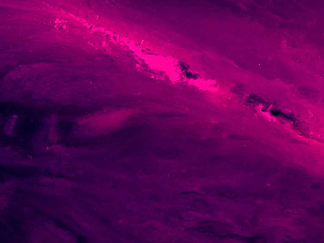 fluoresenssi